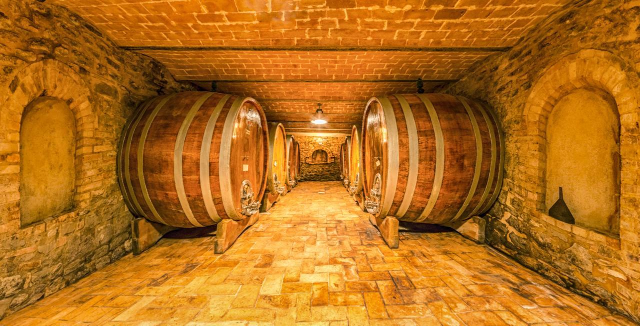 Вилла Casali Di Bibbiano Буонконвенто Экстерьер фото